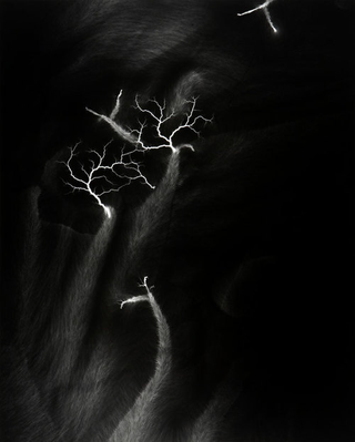 Illustration for article titled Capturing the Veined Beauty of Lightning